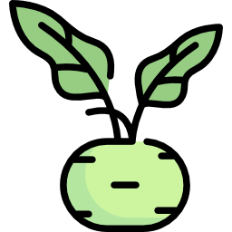 Kohlrabi icon