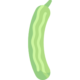 Cucumber icon