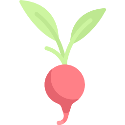 Radish icon