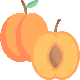 abricot Icône