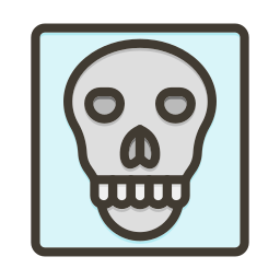 schedel icoon