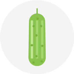 Cucumber icon