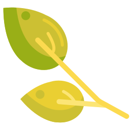 Spring leaves icon