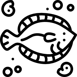 가자미 icon