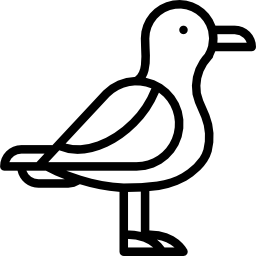 gaviota icono