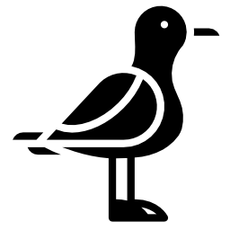 gaviota icono
