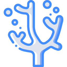 Coral icon