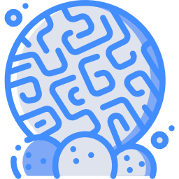 Coral icon