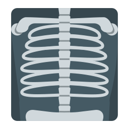 X ray icon