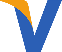 visa icon