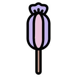 Lollipop icon