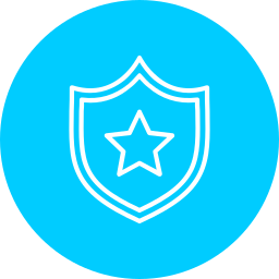 Shield icon