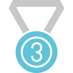 Бронзовая медаль иконка