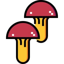 Mushroom icon