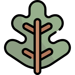 Leaf icon