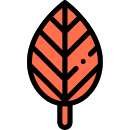 Leaf icon