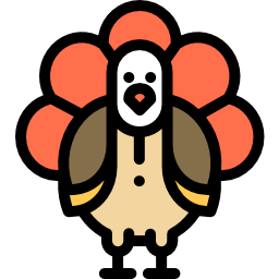 Turkey icon