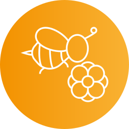Honey bee icon