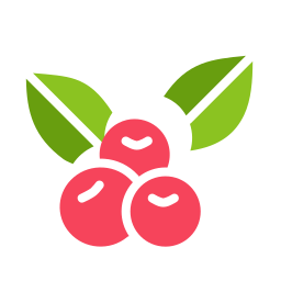 Berry icon