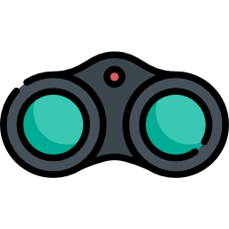 Binoculars icon