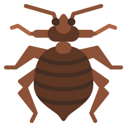 Bedbug icon