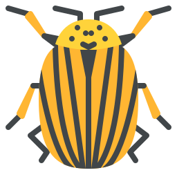 Beetle icon