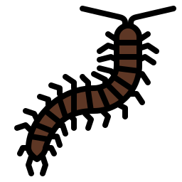 Centipede icon