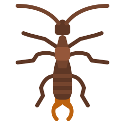 집게벌레 icon