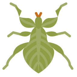 잎벌레 icon
