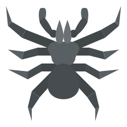 spinne icon