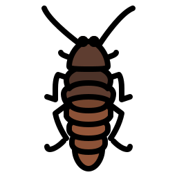 scarafaggio icona