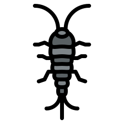 Silverfish icon