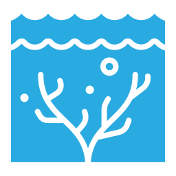 koraalrif icoon