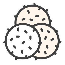 Coconut icon