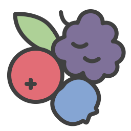 Berry icon