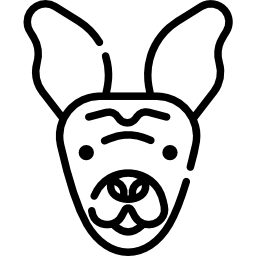 xoloitzcuintle icono
