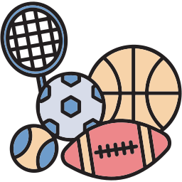sport con la palla icona