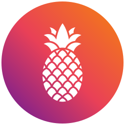 ananas icon