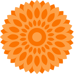 Mandala icon