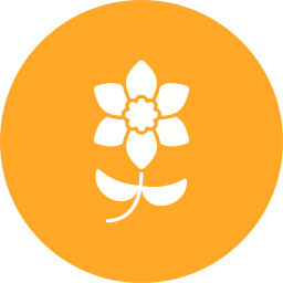 Daffodil icon