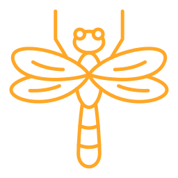 Dragonfly icon