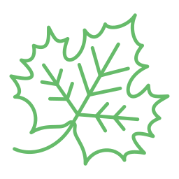 Maple leaf icon