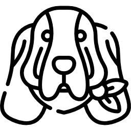 basset hound icono