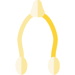 wishbone icon
