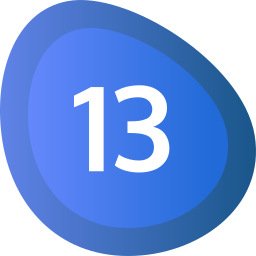 Thirteen icon