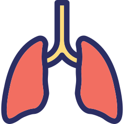 Human lungs icon