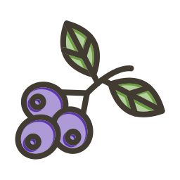 huckleberry icona