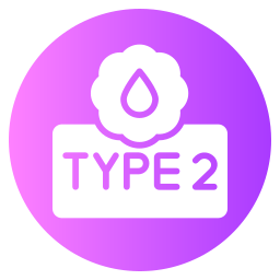 Type 2 icon