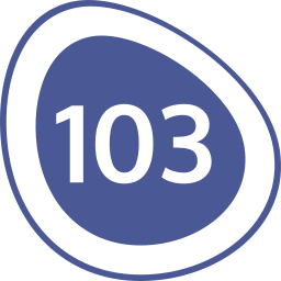 103 Ícone