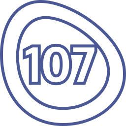 107 icono